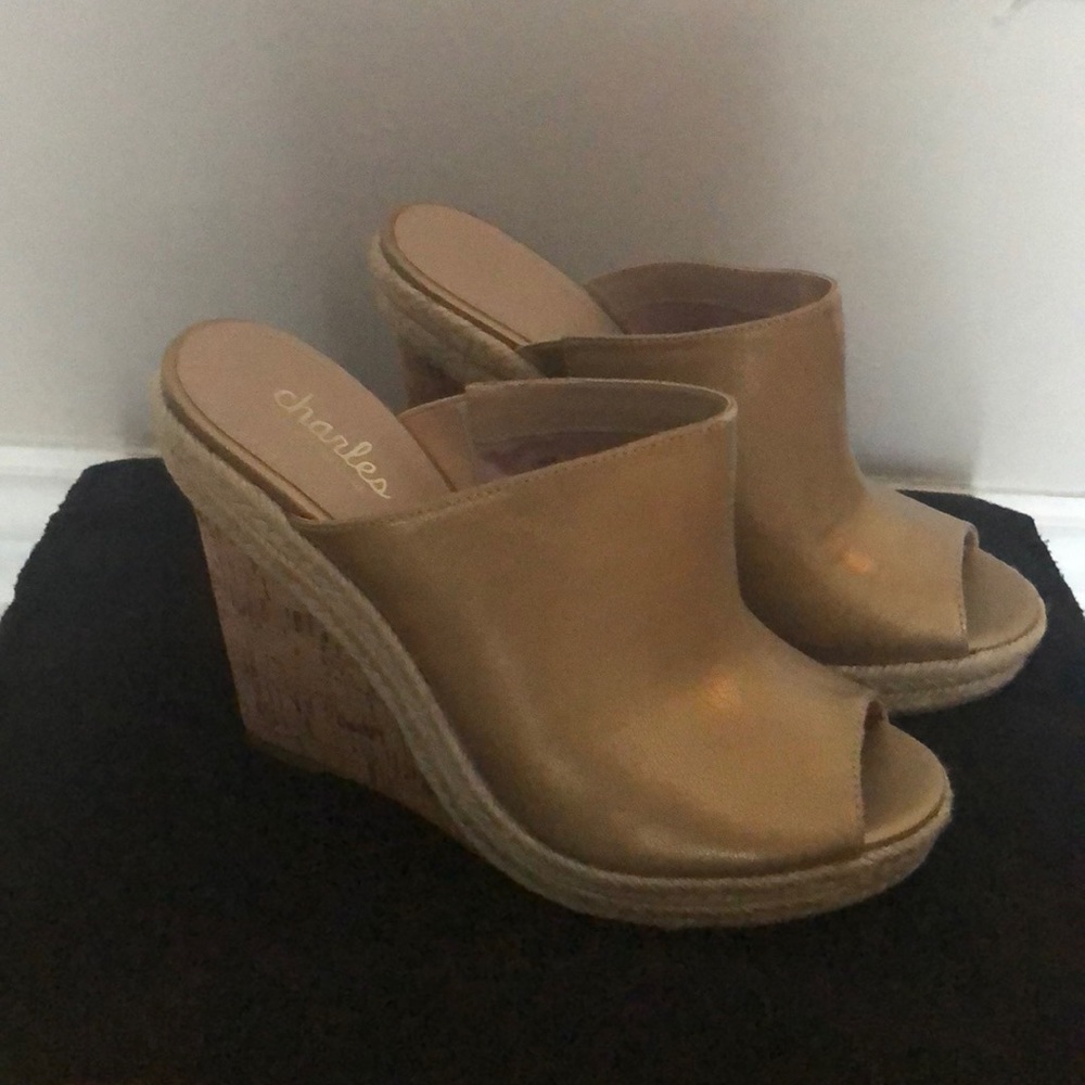 Wedge slides